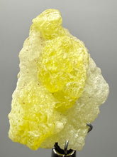 Load image into Gallery viewer, Vibrant Yellow Brucite Thumbnail Mineral Specimen | Collector Crystal from Killa Saifullah District in Balochistan Province, Pakistan