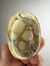 Load image into Gallery viewer, Cobra Jasper Palm Stone from India • High Grade