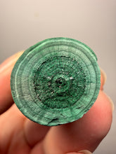 Load image into Gallery viewer, 4.5” Druzy Malachite Stalactites — Botryoidal Cave Formation | DR Congo | Collector Mineral Specimen