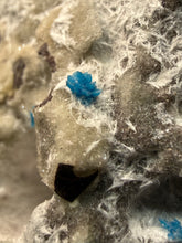 Load image into Gallery viewer, Rare Electric Blue Pentagonite on Druzy Matrix – Collector Mineral Specimen | India