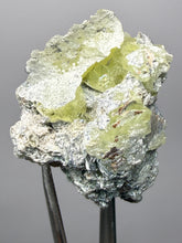 Load image into Gallery viewer, Vibrant Yellow Brucite Thumbnail Mineral Specimen | Collector Crystal from Killa Saifullah District in Balochistan Province, Pakistan