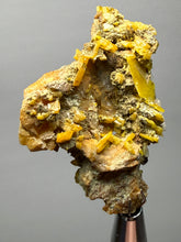 Load image into Gallery viewer, High-Grade Orange Wulfenite Collector Display Specimen | La Morita Mine, Chihuahua, Mexico