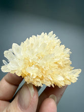 Load image into Gallery viewer, High-Grade Flower Coral Aragonite Crystal Specimen – Wenshan Mine, Yunnan, China