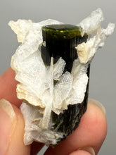 Load image into Gallery viewer, Green Cap Dark Green Stak Nala Tourmaline on Cleavelandite on Matrix – Haramosh Mountains, Pakistan