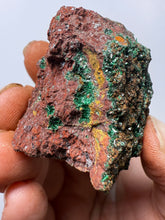 Load image into Gallery viewer, Brochantite Collector Mineral Specimen – Vivid Green Copper Crystals from Morocco