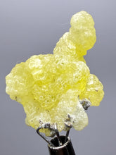 Load image into Gallery viewer, Vibrant Yellow Brucite Thumbnail Mineral Specimen | Collector Crystal from Killa Saifullah District in Balochistan Province, Pakistan