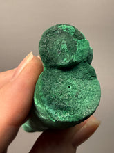 Load image into Gallery viewer, 4.9” High-Grade Malachite Stalactite Botryoidal “Cave” Formation | DR Congo | Mineral Collector Specimen