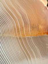 Load image into Gallery viewer, Rare Moroccan White Agate w Incredible Parallax Collected by Indigenous Nomads | Ancient Beauty from the Sahara