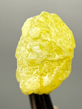 Load image into Gallery viewer, Vibrant Yellow Brucite Thumbnail Mineral Specimen | Collector Crystal from Killa Saifullah District in Balochistan Province, Pakistan