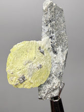 Load image into Gallery viewer, Vibrant Yellow Brucite Thumbnail Mineral Specimen | Collector Crystal from Killa Saifullah District in Balochistan Province, Pakistan