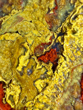 Load image into Gallery viewer, Pink Yellow Red Moroccan Agate | High Atlas Mountains •UNPOLISHED LAPIDARY SLAB