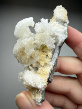 Load image into Gallery viewer, Moroccan Ram’s Horn Selenite (Gypsum) Crystal Display Specimen