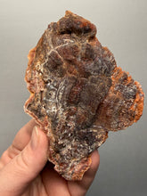 Load image into Gallery viewer, Chalcedony Quartz Rose Agate Collector Mineral Specimen – Morocco
