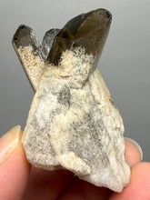 Load image into Gallery viewer, Smoky Quartz Crystal Specimen | Natural Collector Mineral – Brazil