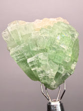 Load image into Gallery viewer, Green Radial “Disco Ball” Apophyllite | Maharashtra, India