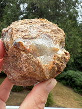 Load image into Gallery viewer, Mystical Turkish Agate with Intriguing Inclusions – Great Banding and Eyes