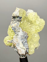 Load image into Gallery viewer, Vibrant Yellow Brucite Thumbnail Mineral Specimen | Collector Crystal from Killa Saifullah District in Balochistan Province, Pakistan