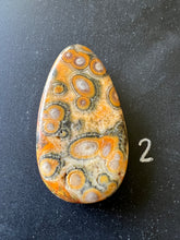 Load image into Gallery viewer, Bumblebee Jasper Agate Palm Stone from West Java, Indonesia • AAA High Grade