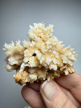 Load image into Gallery viewer, High-Grade Coral Aragonite Crystal Specimen – Wenshan Mine, Yunnan, China