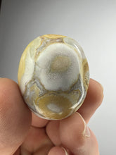 Load image into Gallery viewer, Cobra Jasper Palm Stone from India • High Grade