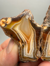 Load image into Gallery viewer, High-Grade Indonesian Sumatra Agate Pair – Vibrant Banded Chalcedony with Rich Color Zoning | Ethical Lapidary & Collector Display Specimens