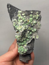 Load image into Gallery viewer, High-Grade Green Wavellite Collectors Specimen - Radiating Botryoidal Crystal Formation - Arkansas, USA