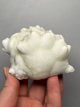 Load image into Gallery viewer, Superb White Flos Ferri Aragonite “Flower of Iron” Mineral Specimen | Lom Vitošov, Czech Republic
