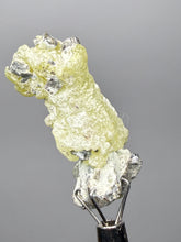Load image into Gallery viewer, Vibrant Yellow Brucite Thumbnail Mineral Specimen | Collector Crystal from Killa Saifullah District in Balochistan Province, Pakistan