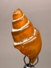 Load image into Gallery viewer, Agatized Gastropod Fossil Specimen | Morocco