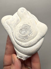 Load image into Gallery viewer, Chichaoua Menalite “Fairy Stone” Concretion | Natural Collector Display Specimen | Morocco