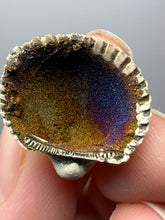 Load image into Gallery viewer, Bivalve (Pelecypoda) Fossil Sea Shell with Chalcopyrite | Mineralized Fossil Specimen | Indonesia