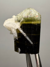 Load image into Gallery viewer, Green Cap Stak Nala Tourmaline with Cleavelandite – Haramosh Mountains, Pakistan | Thumbnail Specimen