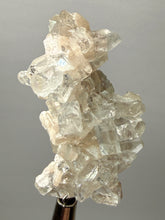 Load image into Gallery viewer, High-Grade Pink Stilbite + Apophyllite Zeolite | Indian Collector Mineral Specimen