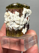 Load image into Gallery viewer, Tri-Color Tourmaline with Feldspar Mineral Specimen – Pakistan