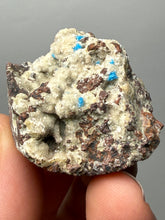 Load image into Gallery viewer, Rare Electric Blue Pentagonite on Druzy Matrix – Collector Mineral Specimen | India