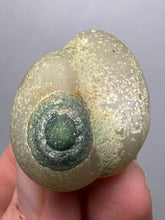 Load image into Gallery viewer, Naturally Sand-Chiseled Gobi Eye Agate | Inner Mongolia Desert Sculpted Specimen