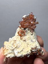 Load image into Gallery viewer, Natural Vanadinite on Matrix | Collector Mineral Specimen | Morocco