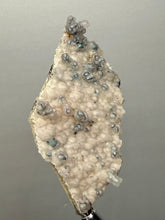 Load image into Gallery viewer, Blue-Green Chrysocolla in Botryoidal Chalcedony Cabinet Specimen | Indonesia