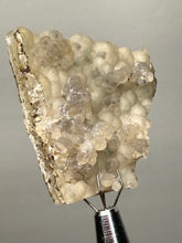 Load image into Gallery viewer, Blue-Green Chrysocolla in Botryoidal Chalcedony Cabinet Specimen | Indonesia