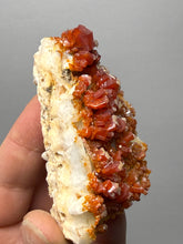 Load image into Gallery viewer, Natural Vanadinite on Matrix | Collector Mineral Specimen | Morocco