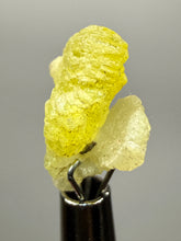 Load image into Gallery viewer, Vibrant Yellow Brucite Thumbnail Mineral Specimen | Collector Crystal from Killa Saifullah District in Balochistan Province, Pakistan