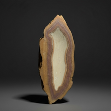 Load image into Gallery viewer, Stromatolite Fossil Slice | Ancient Microbial Reef Structure | Morocco