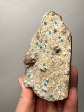 Load image into Gallery viewer, Rare Electric Blue Pentagonite & Cavansite on Druzy Matrix | Collector Mineral Specimen | Wagholi Quarry, India