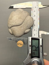 Load image into Gallery viewer, Chichaoua Menalite “Fairy Stone” Concretion | Natural Collector Display Specimen | Morocco