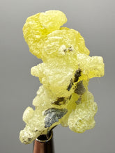 Load image into Gallery viewer, Vibrant Yellow Brucite Thumbnail Mineral Specimen | Collector Crystal from Killa Saifullah District in Balochistan Province, Pakistan