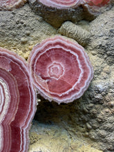 Load image into Gallery viewer, Rhodochrosite Free Form Collector Mineral Display Specimen — Argentina