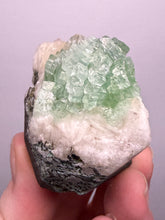 Load image into Gallery viewer, Green Radial “Disco Ball” Apophyllite | Maharashtra, India