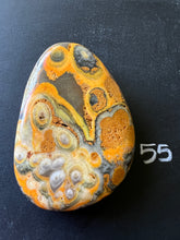 Load image into Gallery viewer, Bumblebee Jasper Agate Palm Stone from West Java, Indonesia • AAA High Grade