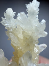 Load image into Gallery viewer, High-Grade Coral Aragonite Crystal Specimen – Wenshan Mine, Yunnan, China