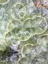 Load image into Gallery viewer, High-Grade Green Wavellite Collectors Specimen - Radiating Botryoidal Crystal Formation - Arkansas, USA